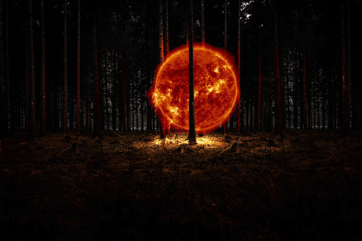 a spinning Sun image from SDO superimposed
		into a forest
